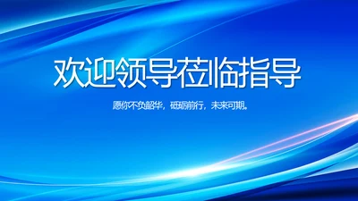 热烈欢迎领导莅临指导工作动态PPT