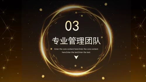 黑金风房地产融资计划书通用PPT模板