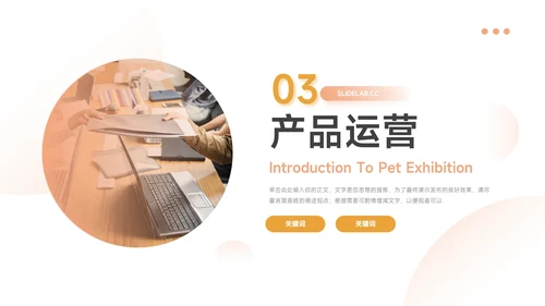 黄色高端大气图文公司宣传画册PPT模板