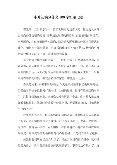 2022年小升初满分作文300字汇编七篇