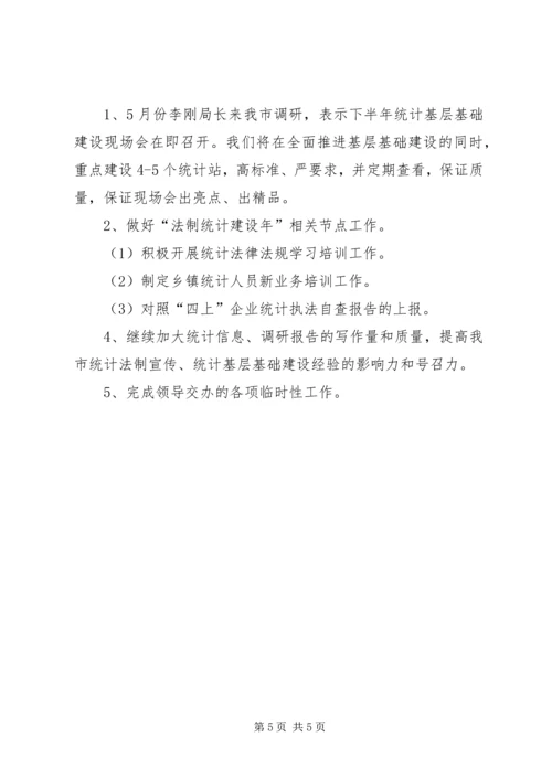 统计局法规科上半年总结及下半年计划.docx