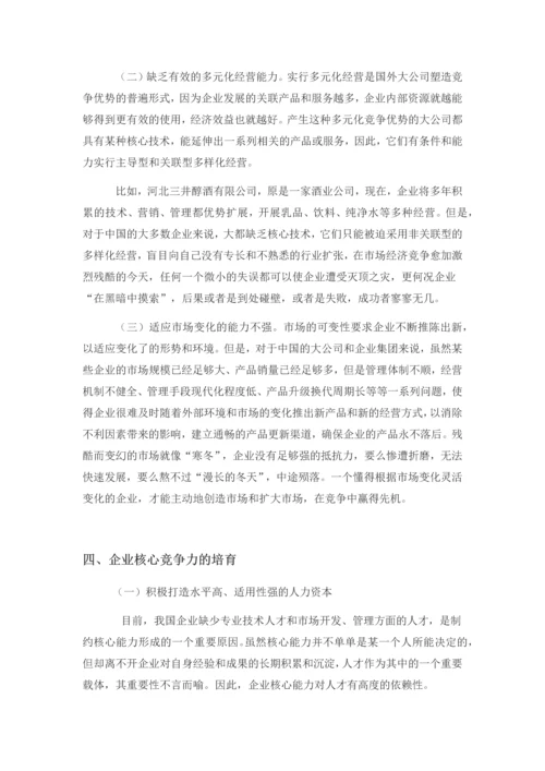 中国企业核心竞争力论文.docx