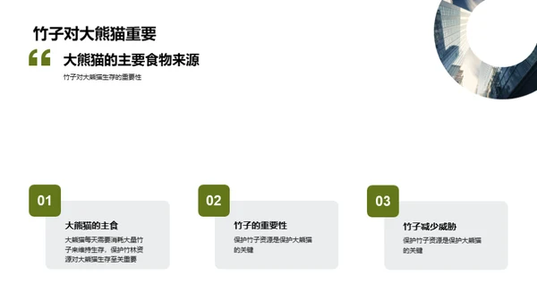 守护国宝：大熊猫保护行动