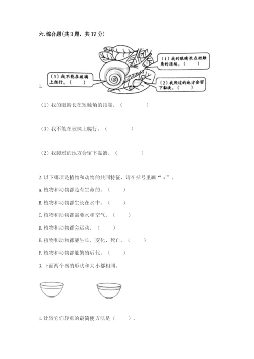 教科版一年级下册科学期末测试卷附参考答案【综合题】.docx