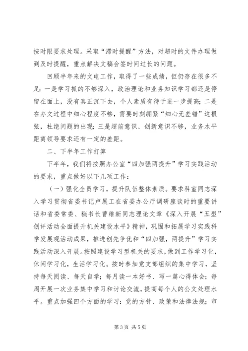 文电科上半年工作总结和下半年工作计划 (2).docx