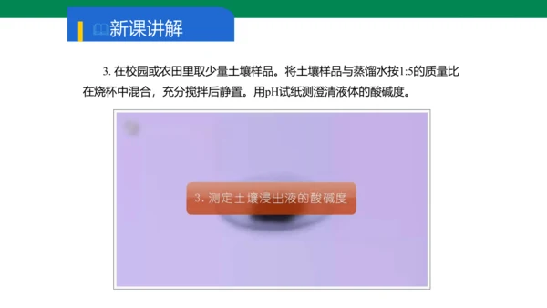 实验活动7 溶液酸碱性的检验 课件