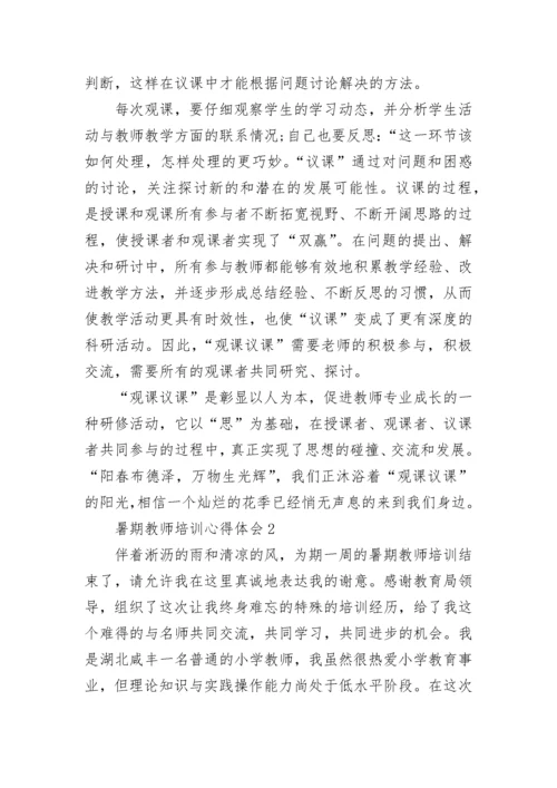 暑期教师培训心得体会.docx