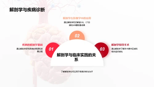 解剖学的医学精要