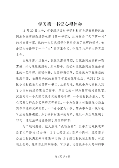 学习第一书记心得体会 (3).docx