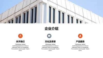 单色扁平3项企业介绍