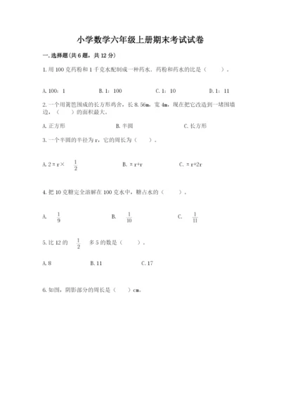 小学数学六年级上册期末考试试卷及完整答案【典优】.docx