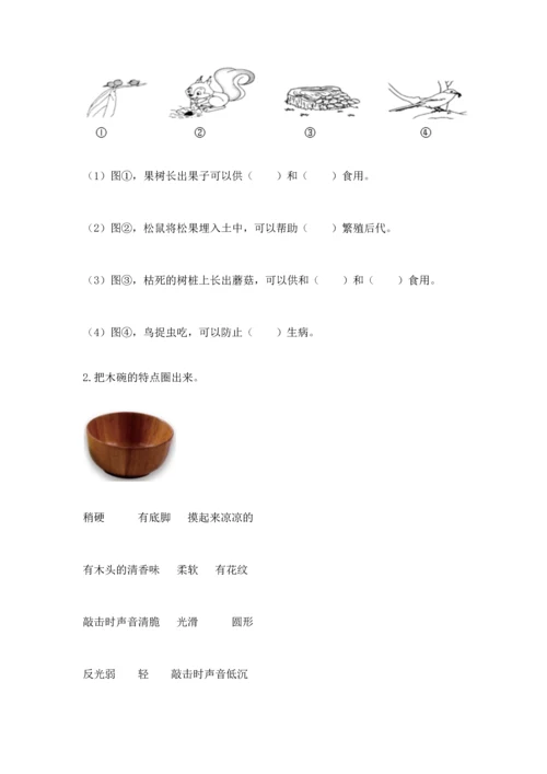 教科版二年级上册科学期末测试卷含完整答案【有一套】.docx