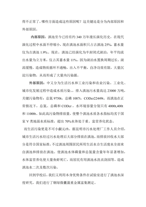 滇池污染调查分析报告.docx