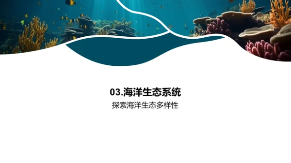 海洋生态启示录