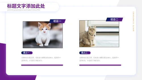 宠物小狗狗泰迪犬通用PPT模板