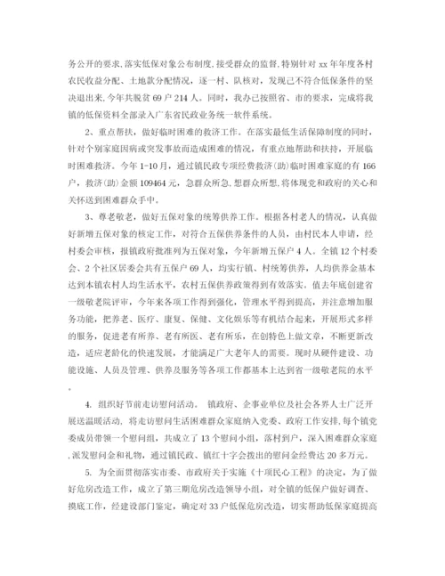 精编之乡镇社会事务办年终工作总结范文.docx