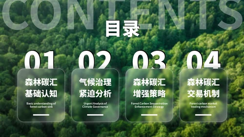 绿色清新森林生态环境保护调研汇报PPT模板