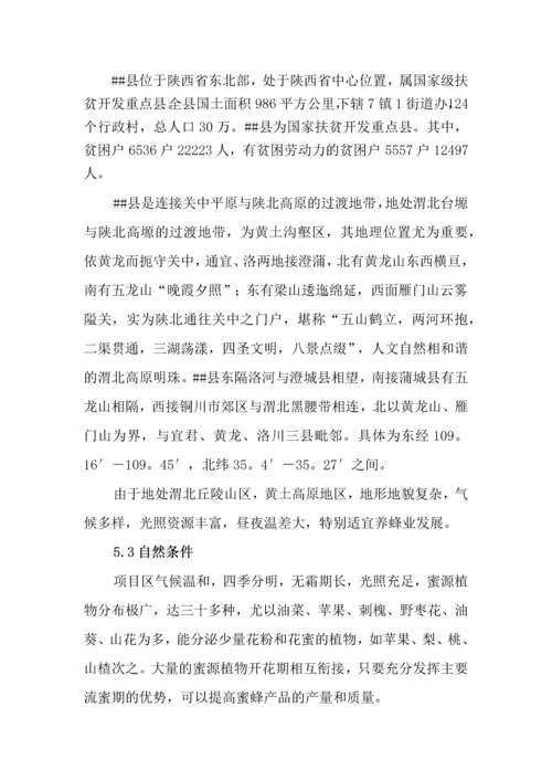 1000户贫困户养蜂扶贫项目项目建议书.docx