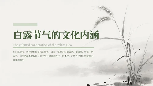 绿色中国风白露节气主题班会PPT模板