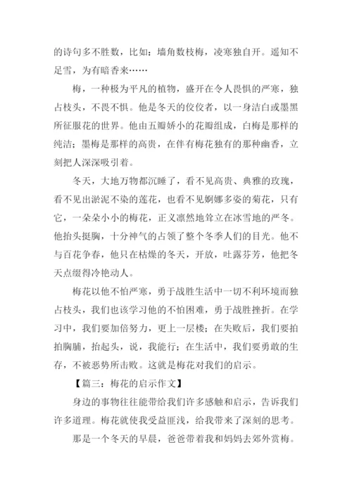 梅花的启示作文400字.docx