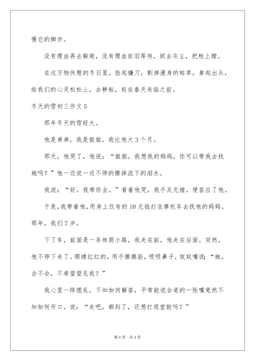 2022冬天的雪初三作文.docx