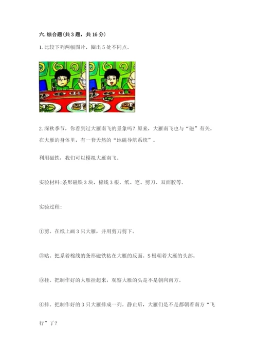 教科版小学科学二年级下册 期末测试卷（word）.docx