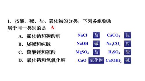 第十一单元+盐化肥拓展课物质的分类与性质课件-2023—2024学年九年级化学人教版下册