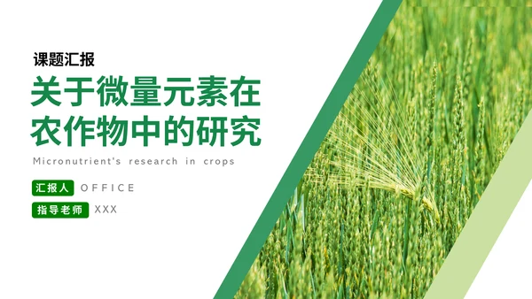 微量元素农作物课题研究汇报通用PPT模板