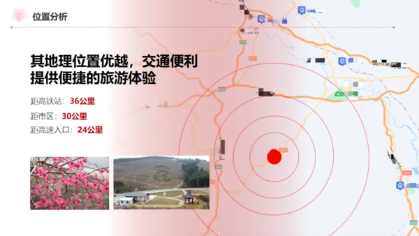 小镇桃花节策划方案通用PPT