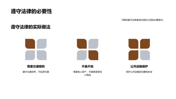 公民责任与实践