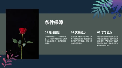 手绘插画风植物与污染研究总结报告