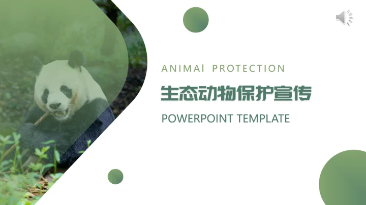 人与自然大熊猫活动宣传通用PPT模板