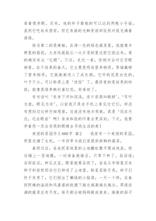 美丽的菜园作文600字.docx