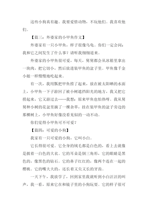 小动物作文350字.docx