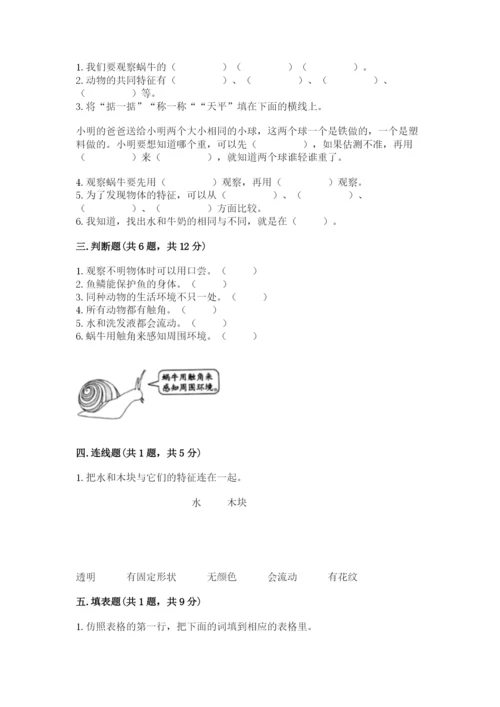 教科版一年级下册科学期末测试卷含答案【巩固】.docx