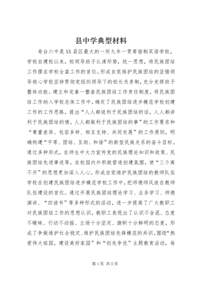 县中学典型材料.docx