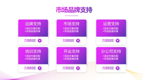 公司品牌产品发布会策划方案PPT