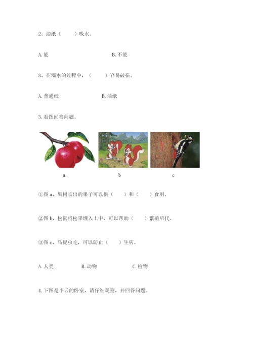 教科版科学二年级上册期末测试卷【名校卷】.docx