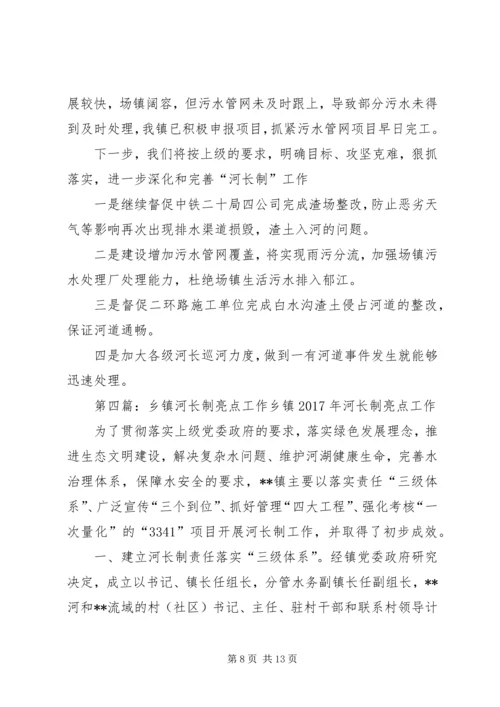 乡镇河长制工作总结和工作计划.docx