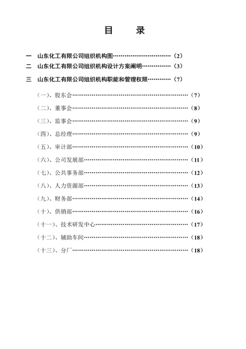 公司组织机构设计专题方案.docx