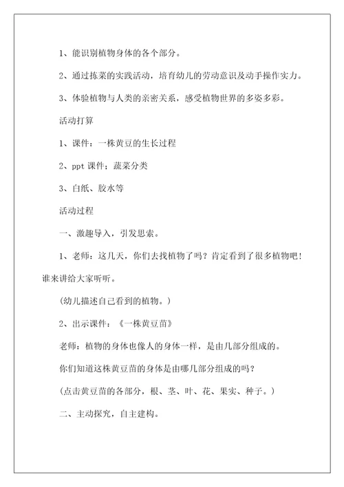 2022《植物的“身体》大班教案