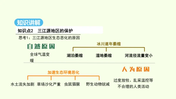 9.2 高原湿地——三江源地区（课件29张）- 人教版地理八年级下册