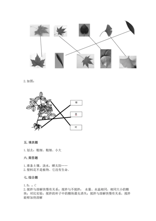 教科版科学一年级上册第一单元《植物》测试卷精品及答案.docx