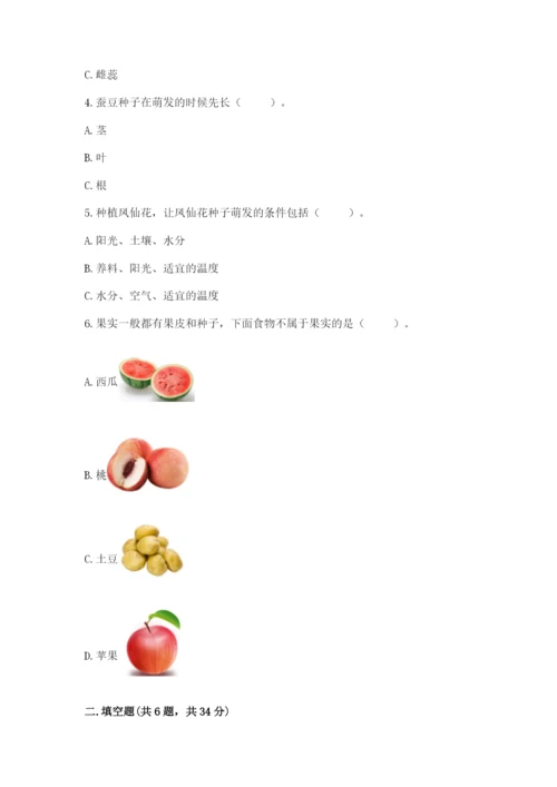 科学四年级下册第一单元《植物的生长变化》测试卷（基础题）.docx