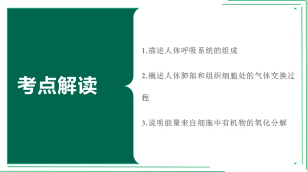 七年级下册 第三章 人体的呼吸【2023春人教七下生物期中期末复习课件】(共28张PPT)