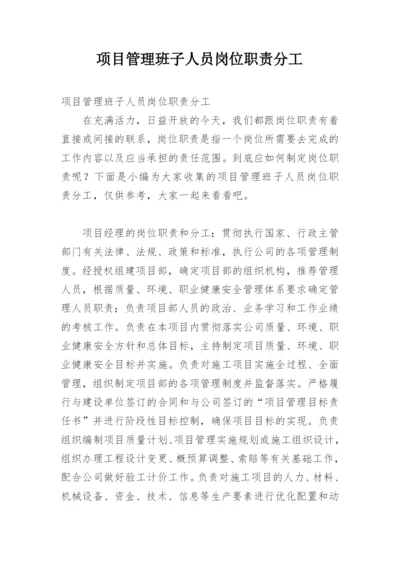 项目管理班子人员岗位职责分工.docx