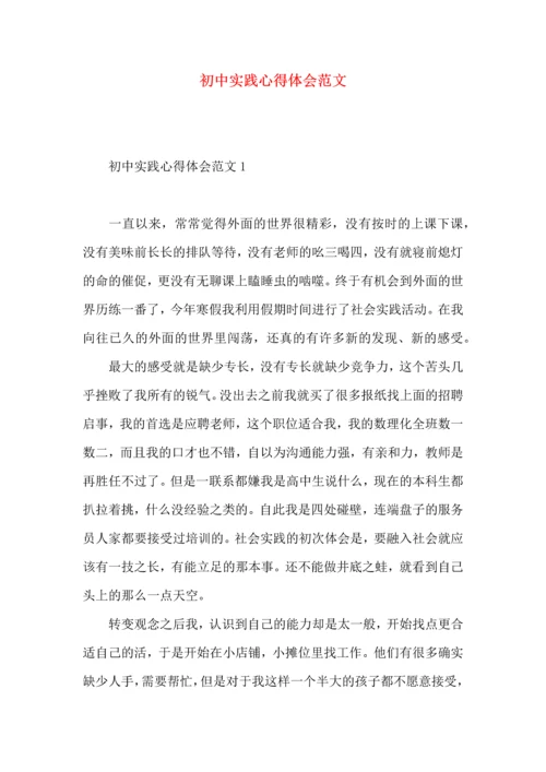 初中实践心得体会范文.docx