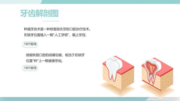 蓝色医疗牙科工作总结汇报计划PPT