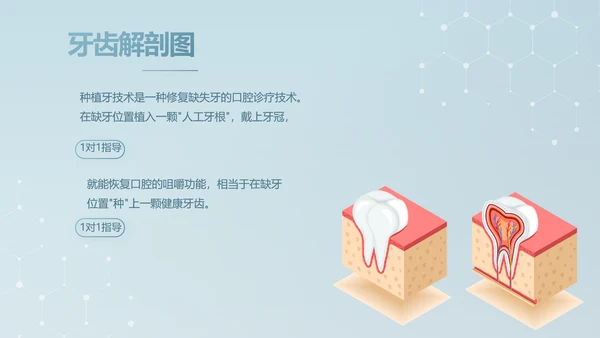 蓝色简约牙科诊所年终工作总结汇报动态PPT
