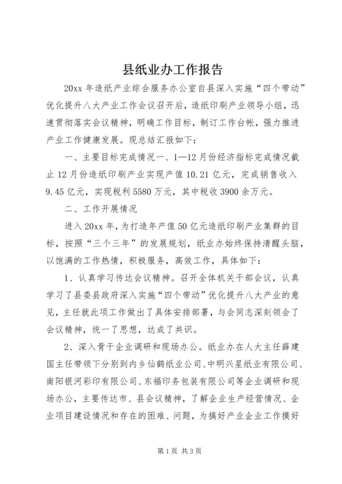 县纸业办工作报告.docx